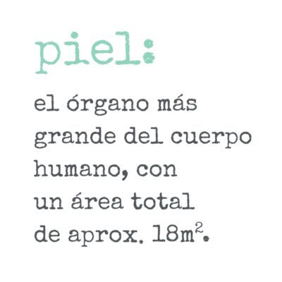 La piel