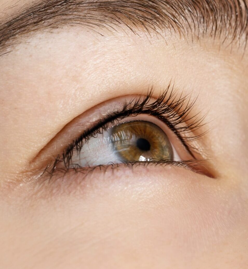 Micropigmentación de Ojos: Técnica Lash Line